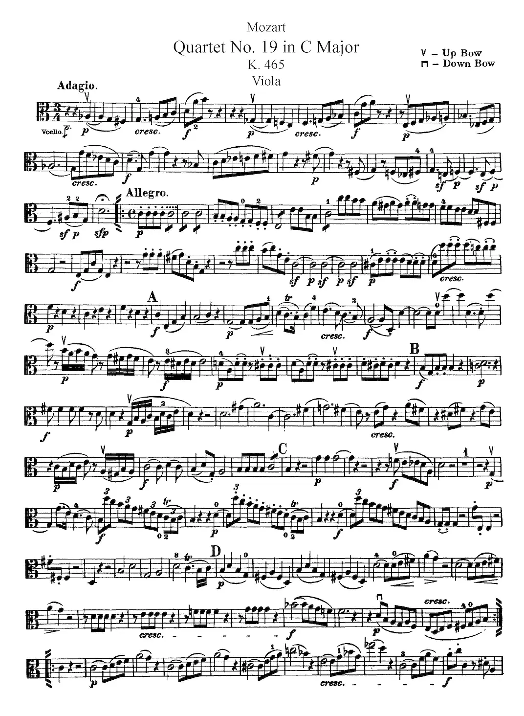 Mozart《Quartet No.19 in C Major,K.465》（Viola分谱）