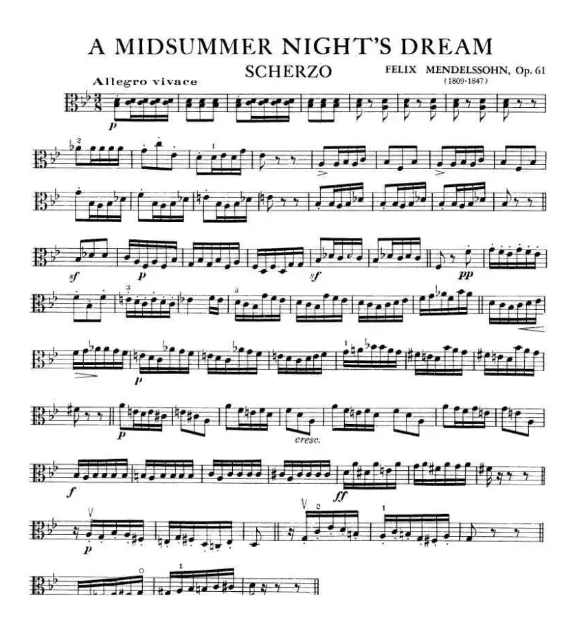 A MIDSUMMER NIGHT'S DREAM（中提琴）