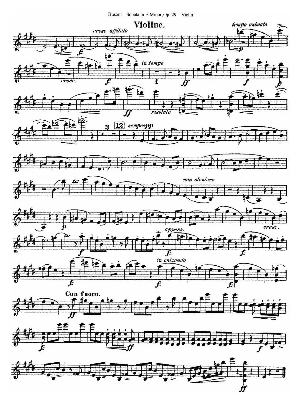 Violin Sonata No.1 in E Minor Op.29