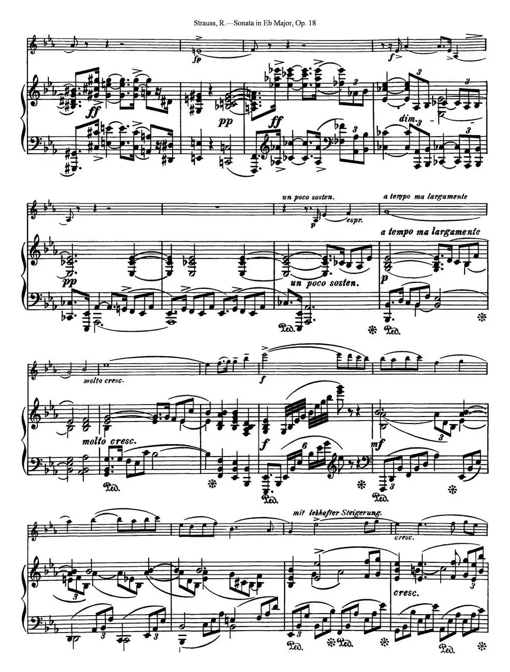 Violin Sonata in Eb Major Op.18（小提琴+钢琴伴奏）