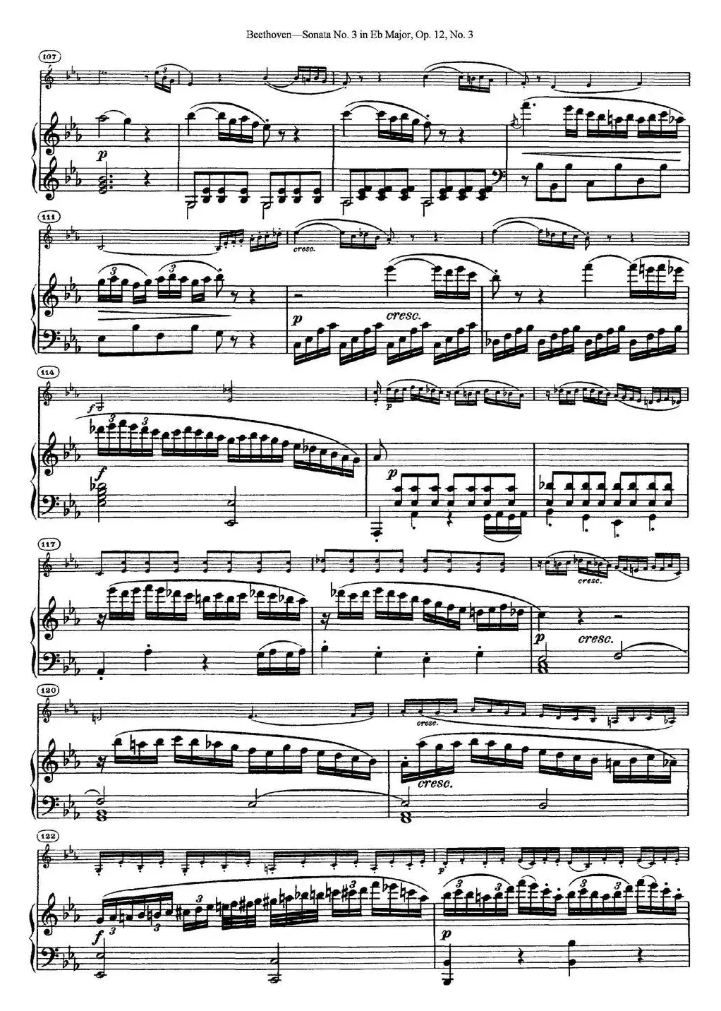 Violin Sonata No.3 in Eb Major Op.12 No.3（小提琴+钢琴伴奏）