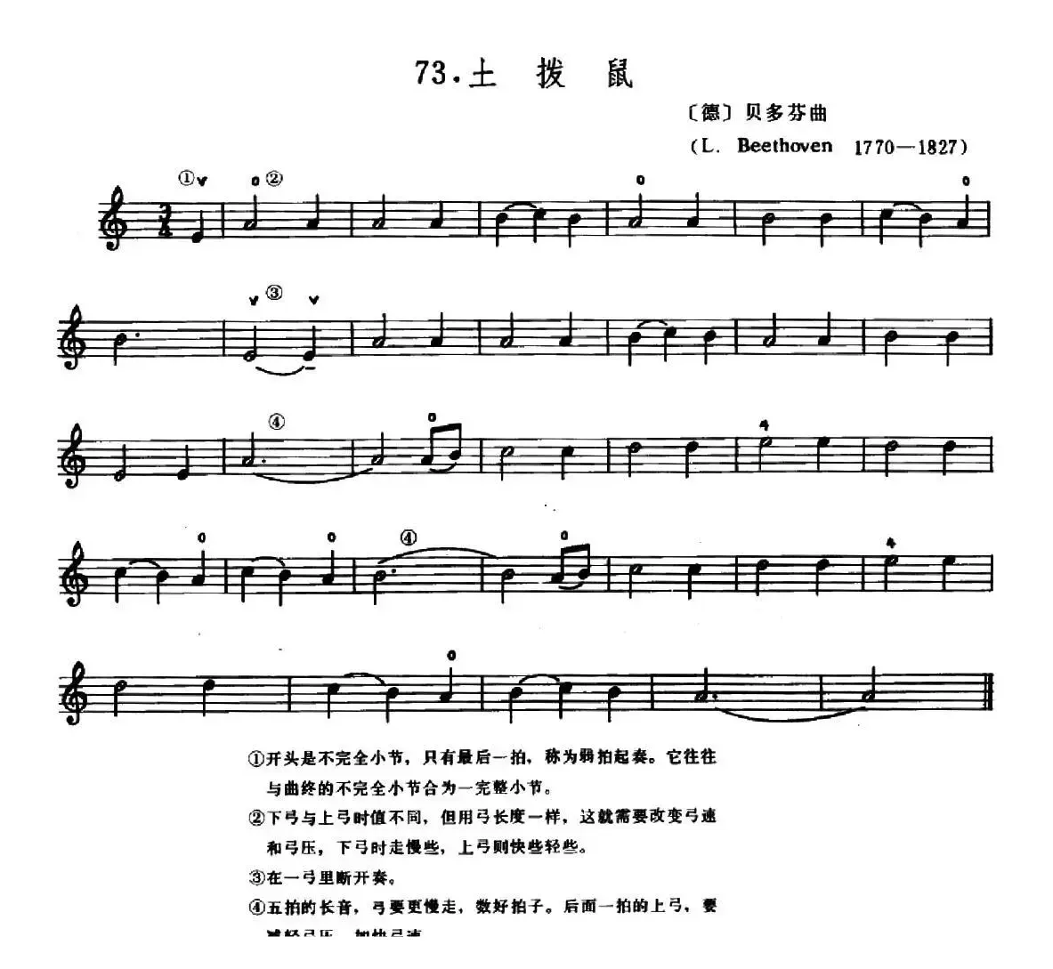 学琴之路练习曲73、土拨鼠