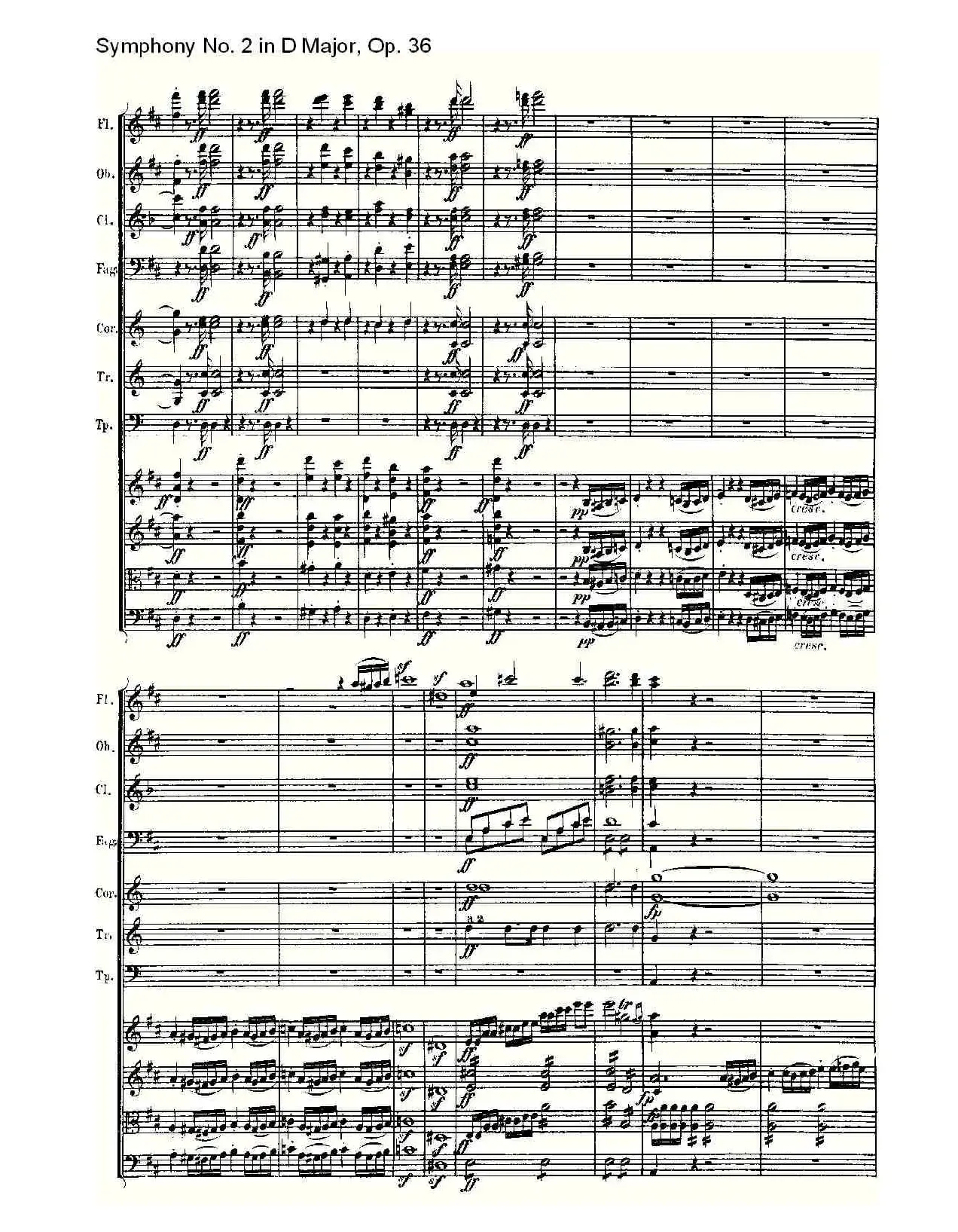 Symphony No. 2 in D Major, Op. 36（D大调第二交响曲 Op. 3）