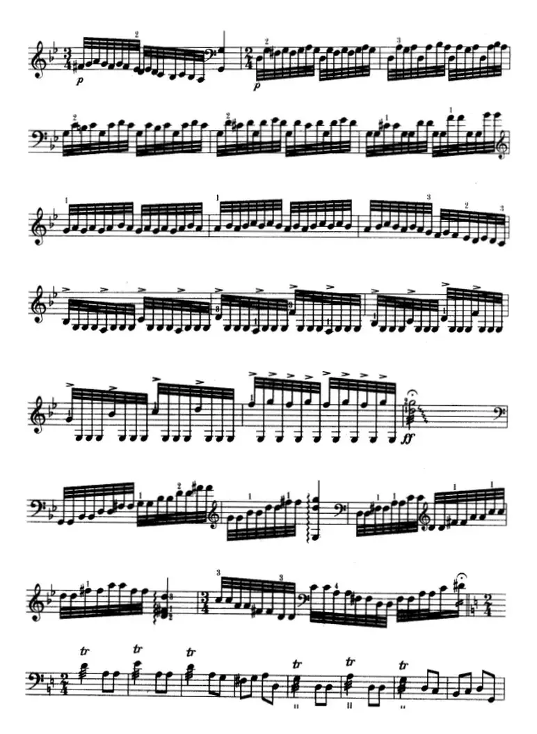 三弦综合练习曲（五线谱）