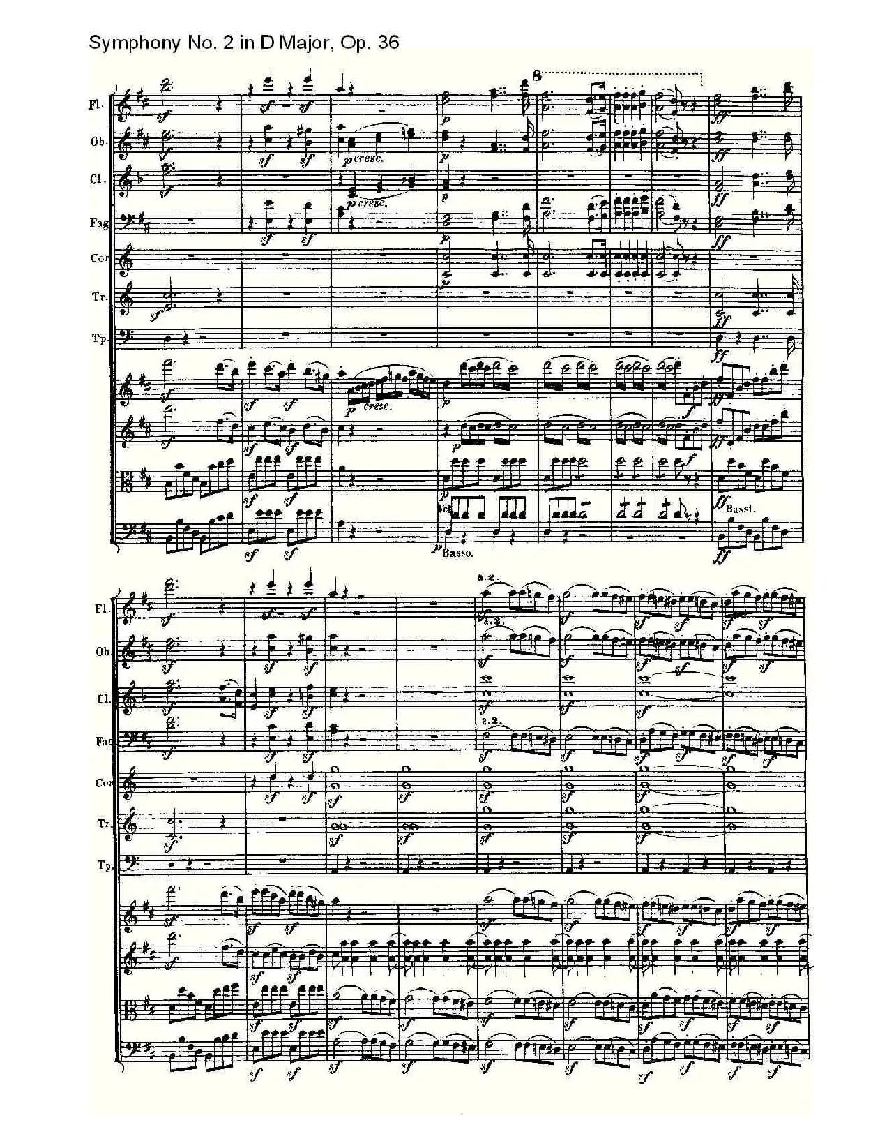 Symphony No. 2 in D Major, Op. 36（D大调第二交响曲 Op. 3）