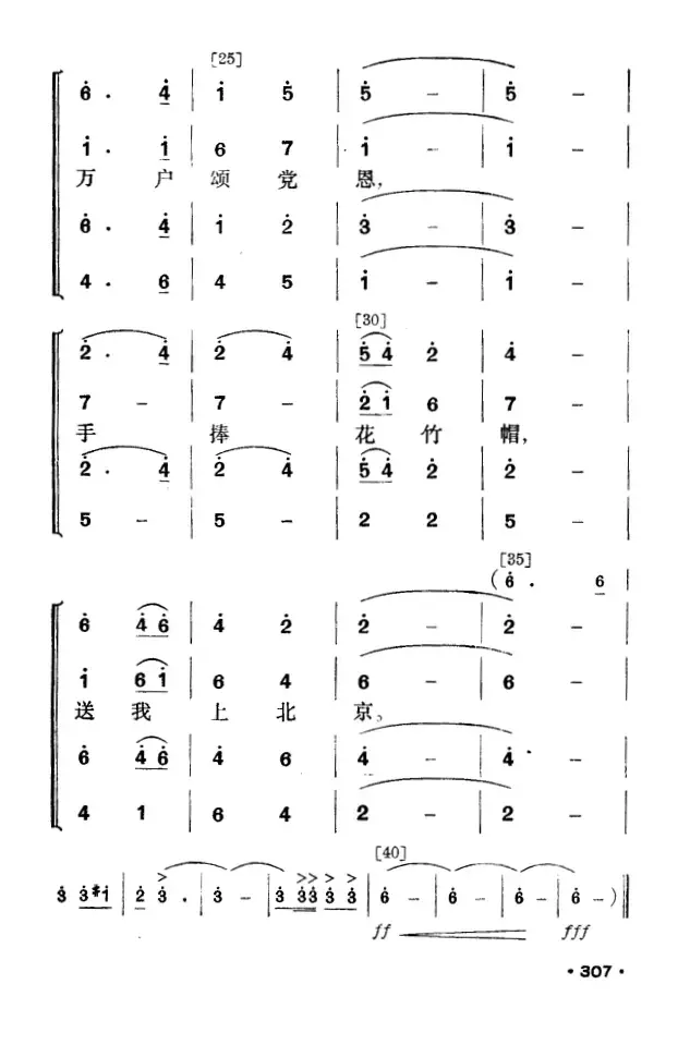 花竹帽献北京（毛难族舞蹈）