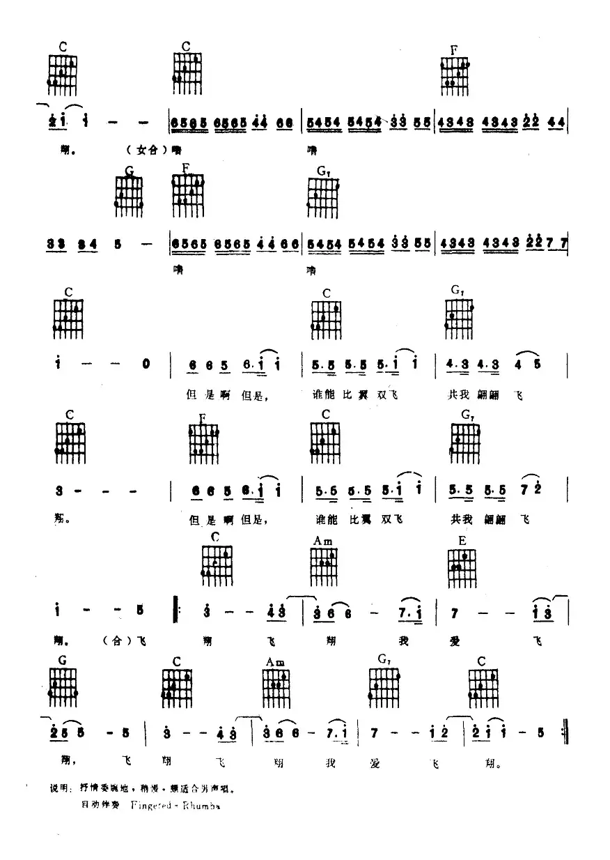 飞翔 飞翔 我飞翔（电子琴吉他弹唱谱）
