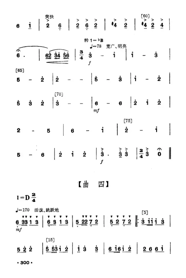 花竹帽献北京（毛难族舞蹈）